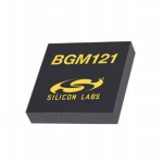 BGM121N256V2 Picture