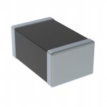 PRG21BC2R2MM1RA Picture