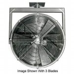 B185246 Picture