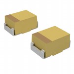TLJN106M010R2500 Picture