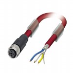 1558373 Picture