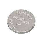 CR2450 Picture