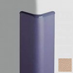 B707604 Picture