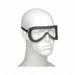 290409 Picture