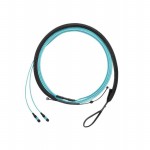 FXTRL7NQSONM003 Picture