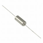 T110D107M020AS Picture