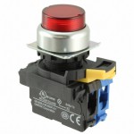A22NL-RPA-TRA-G100-RB Picture
