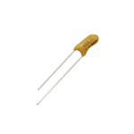 199D106X9010B1V1 Picture
