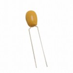 199D107X9020F6V1 Picture