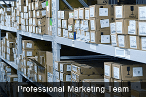 Professional quality inspection